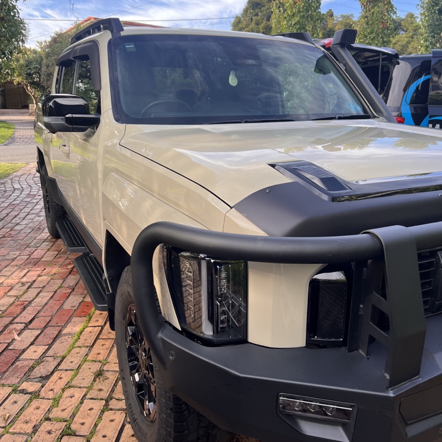 Posh Wash detailing result